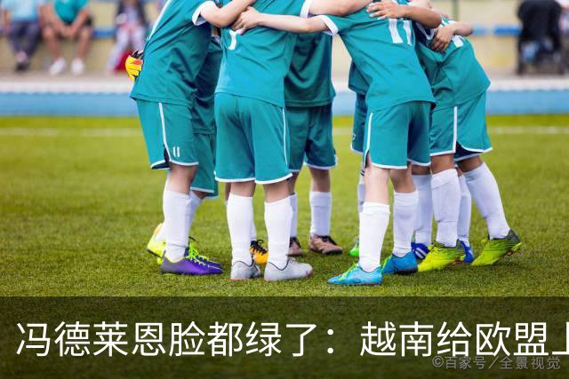冯德莱恩脸都绿了：越南给欧盟上了一课：什么叫 “中国力量”！