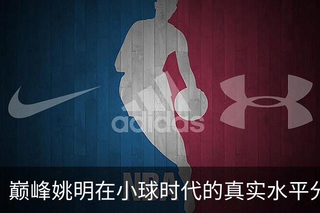 巅峰姚明在小球时代的真实水平分析