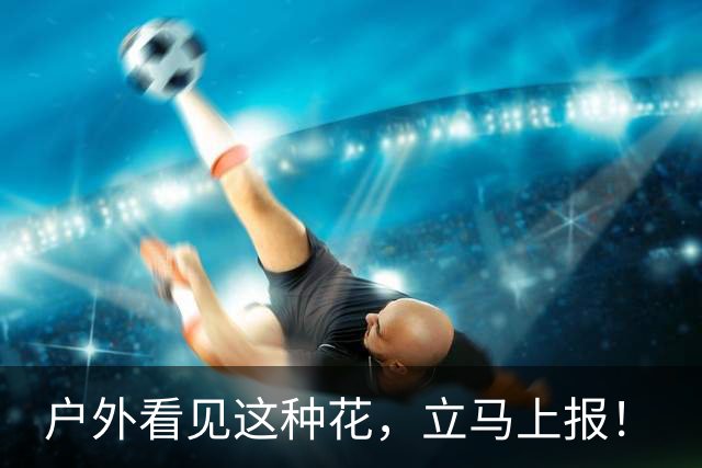 户外看见这种花，立马上报！