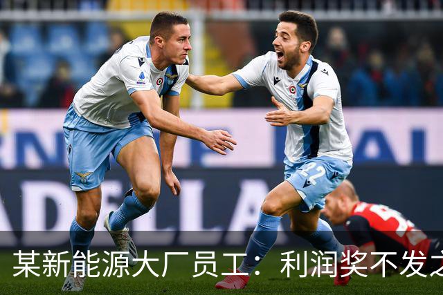 某新能源大厂员工：利润奖不发之后，确诊抑郁了