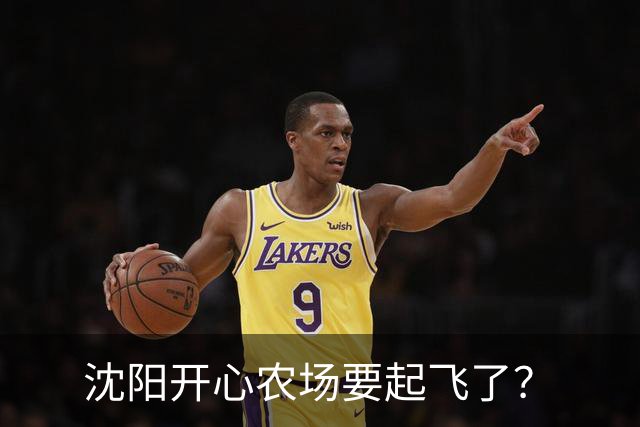 沈阳开心农场要起飞了？