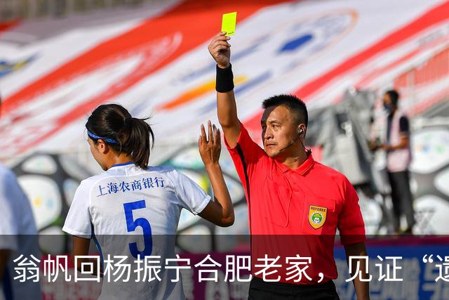 翁帆回杨振宁合肥老家，见证“遗产”落地，原来亡夫留了一手好牌