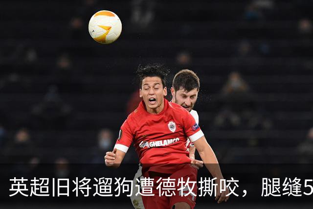 英超旧将遛狗遭德牧撕咬，腿缝50多针，最后是自家狗救了他一命