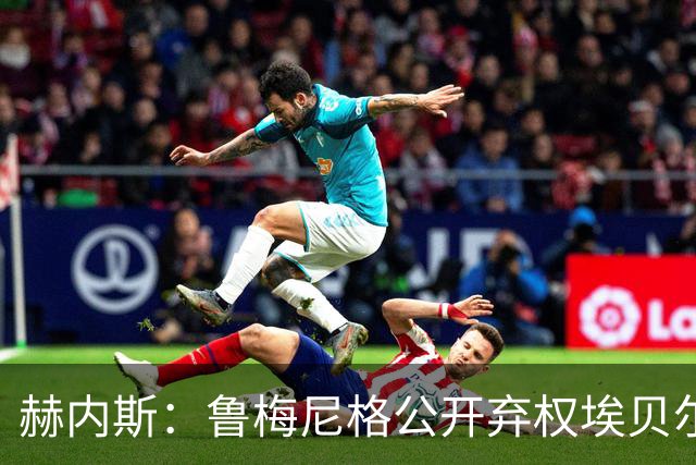 赫内斯：鲁梅尼格公开弃权埃贝尔投票没必要