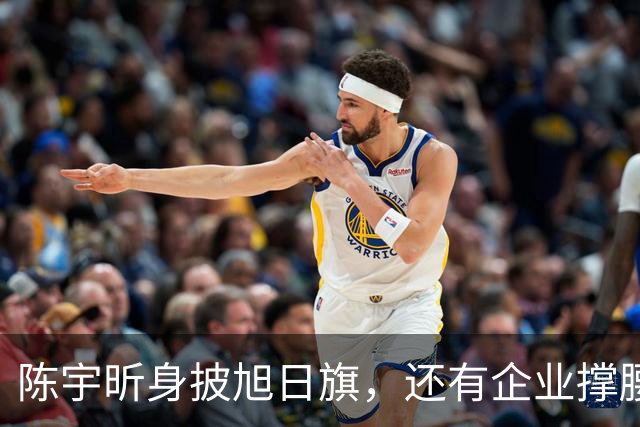 陈宇昕身披旭日旗，还有企业撑腰，汤家凤怒喊露头就打