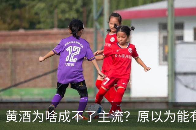 黄酒为啥成不了主流？原以为能有共鸣，谁料评论一边倒